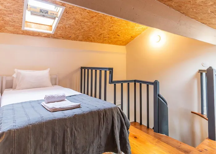 Music Shell By Lovelystay