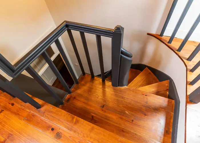 Music Shell By Lovelystay